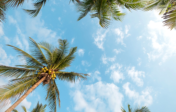 55 and older communities in Florida