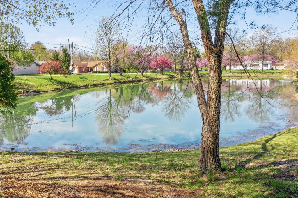 residential area in East St Louis Illinois